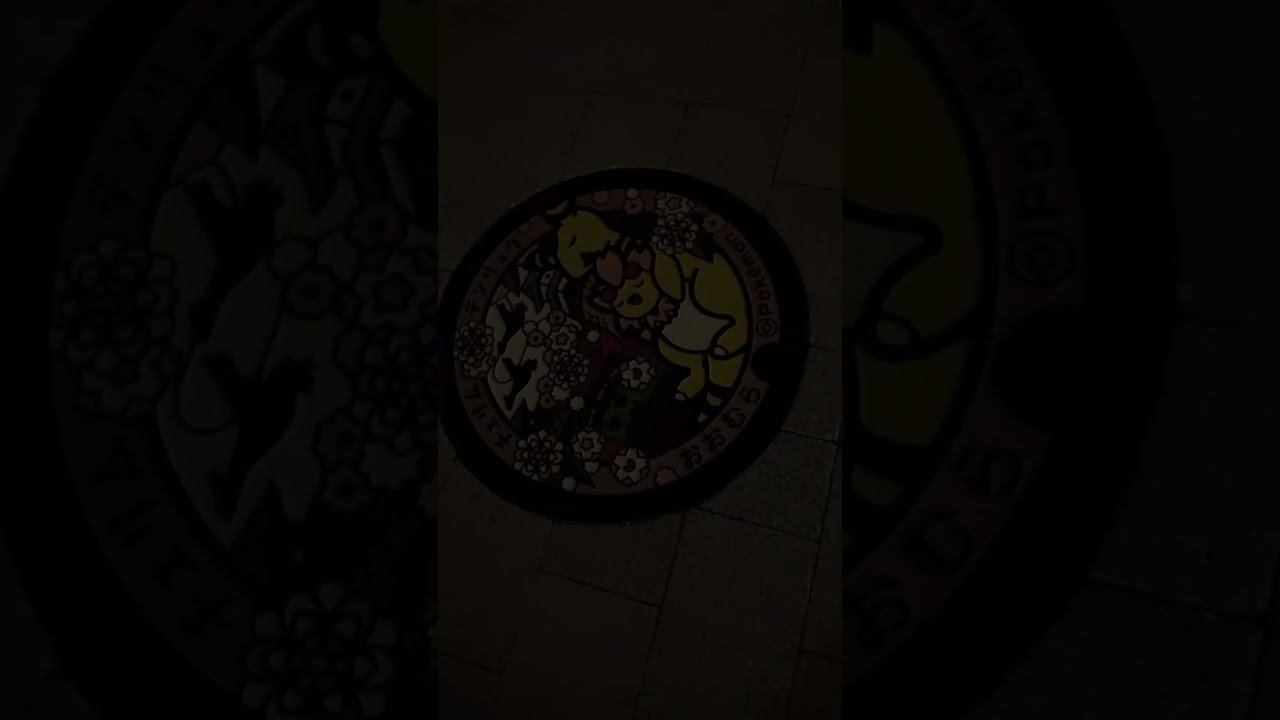 デンリュウGET‼️