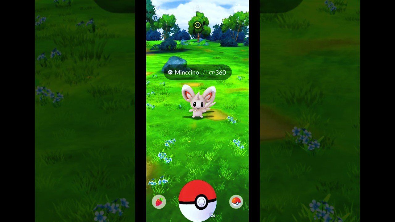 Catching Pokémon Minccino from Special Research - Pokemon GO Indonesia Gameplay #Shorts