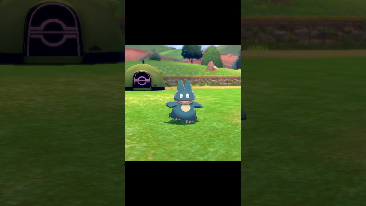 駆け寄ってくるゴンベ　#Shorts