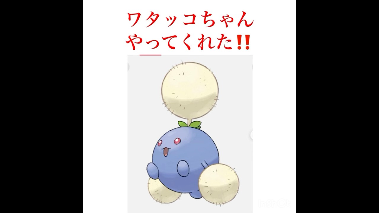 ワタッコが強かった‼️