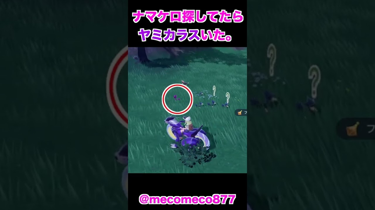 【ポケモンSV】またまた出た！色違いカラス #shorts