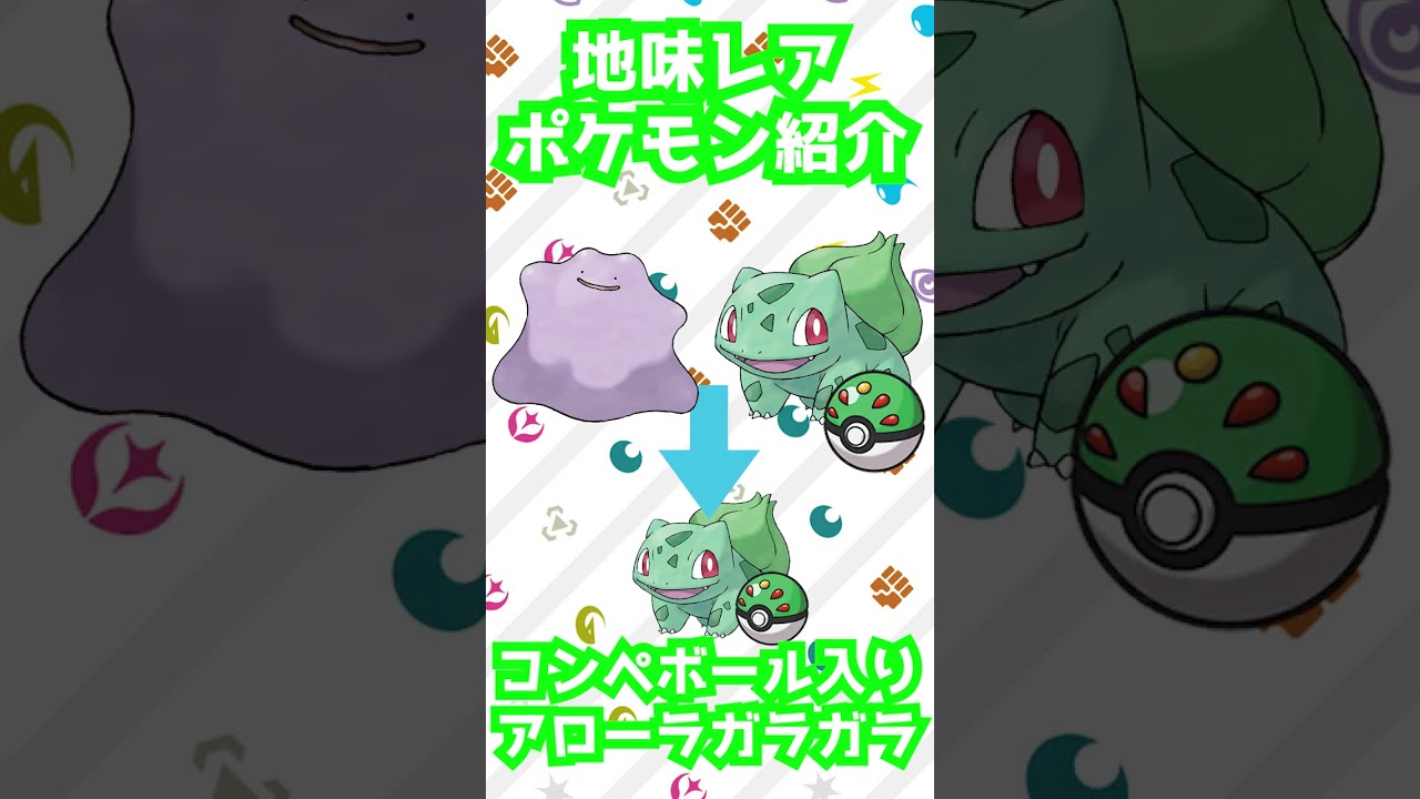 地味レアポケモン紹介 ~コンペボール入りアローラガラガラ編~ #shorts #ポケモン