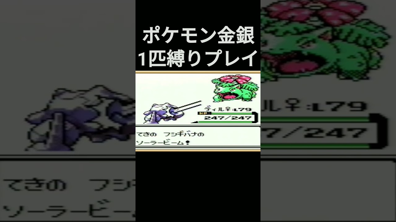 【ポケモン金銀】ポケモン金銀1匹縛りプレイ!!ハガネールver【縛りプレイ】#ポケモン金銀 #縛りプレイ #ハガネール #ゲーム実況