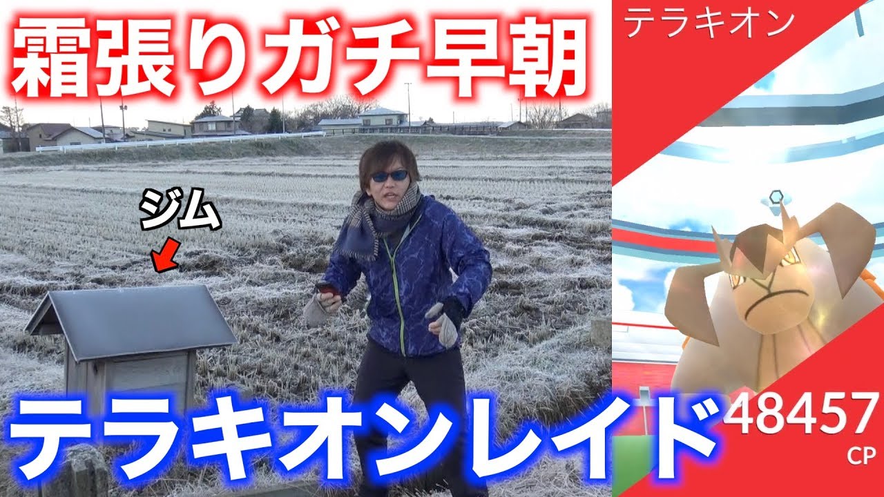 テラキオンに霜張るガチ早朝の中、無謀にも田んぼに誘き出し飛びかかる秋田人【ポケモンGO】