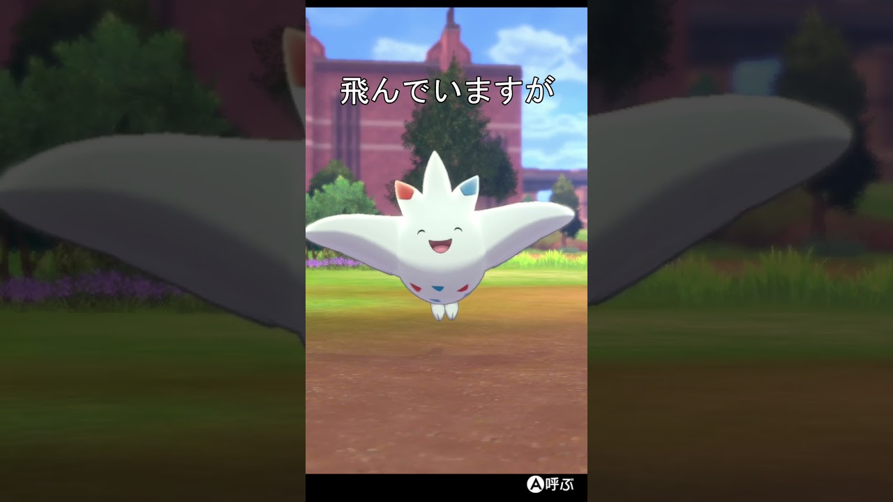 トゲキッスの着地　#ポケモン #ポケモン剣盾 #トゲキッス