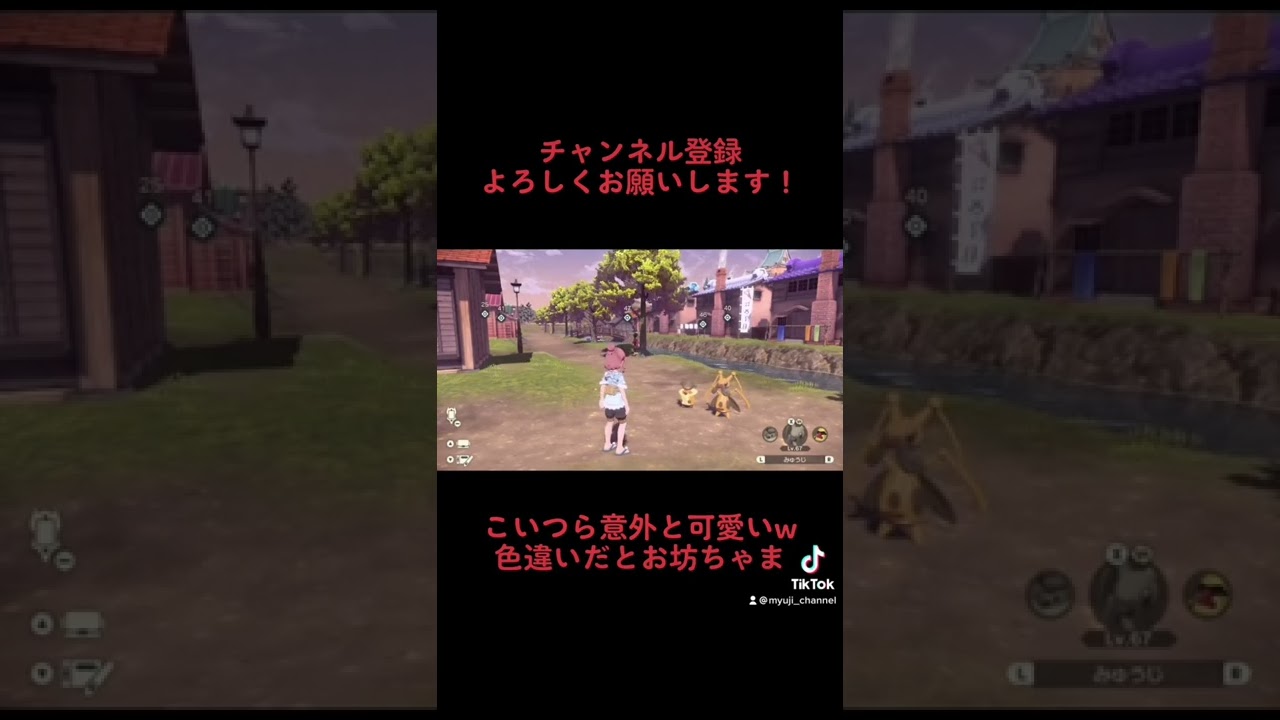 【色違い図鑑シリーズ】コロボーシとコロトック色違いで揃った！！ #shorts #レジェンズアルセウス #ポケモン #ショート