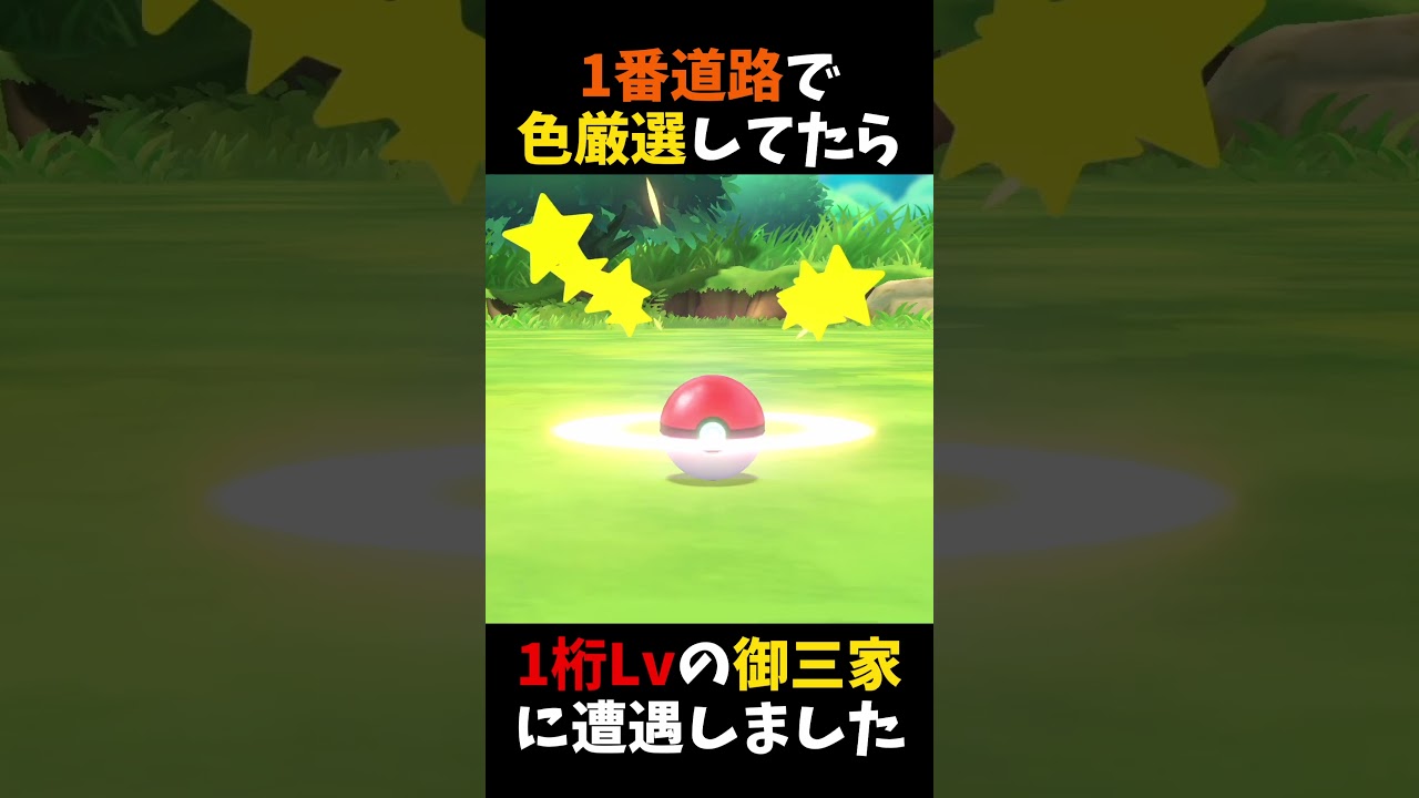 1番道路で色違い厳選してたら「超低レベルの最終進化御三家」に遭遇しました【ピカブイ】
