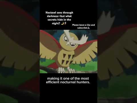 Noctowl sees through darkness—but what secrets hide in the night? 🌙🦉 #pokemon