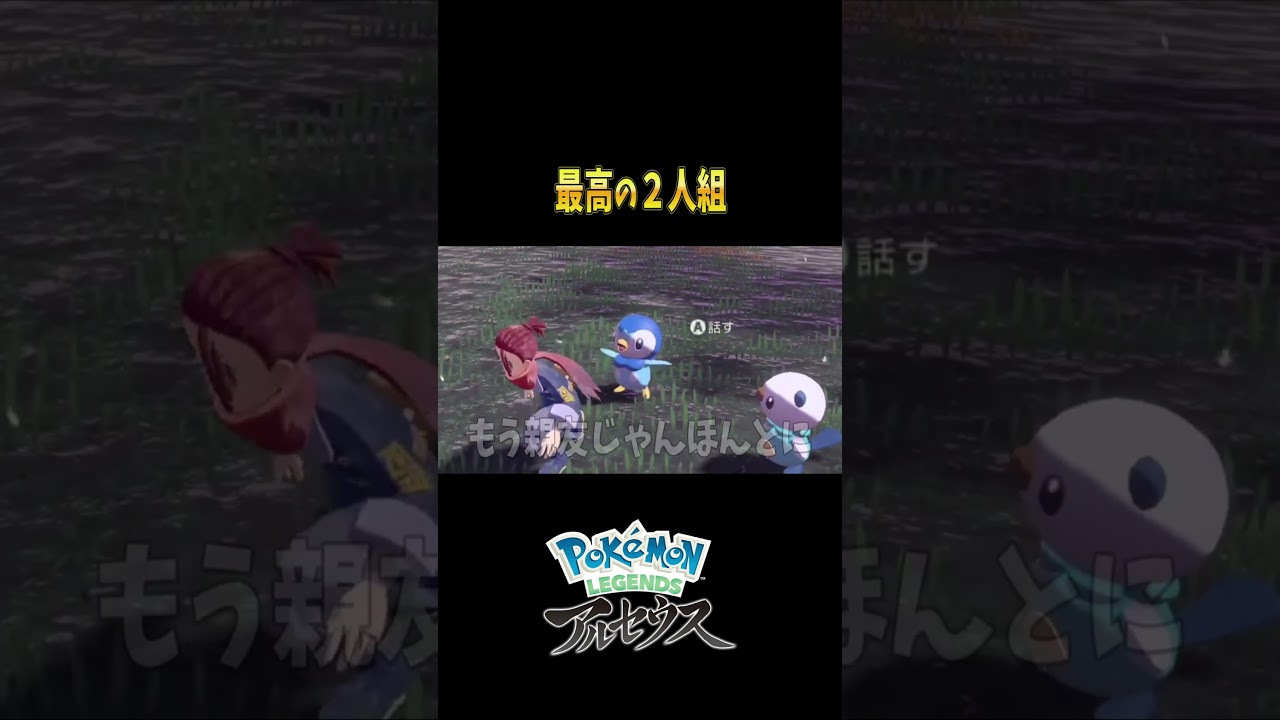 『Pokémon LEGENDS アルセウス』 ミジュマルとポッチャマの親友感が最高すぎる！！