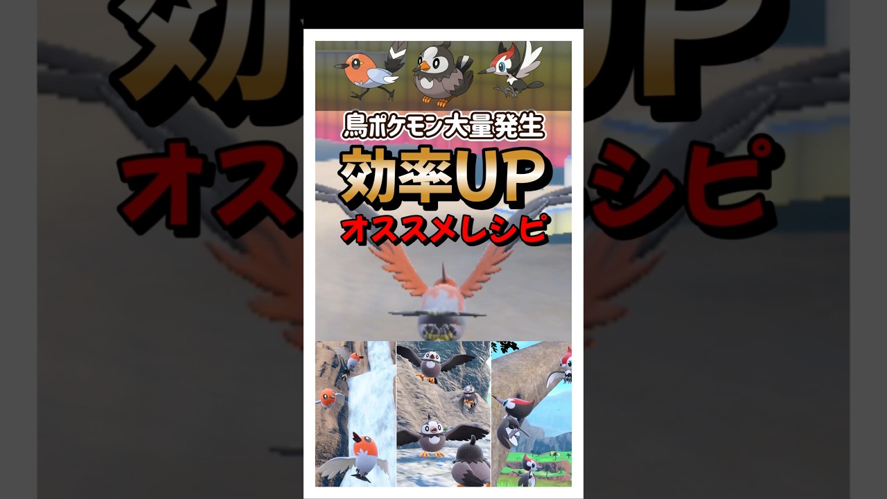 【ポケモンSV】とりポケモン大量発生のヤヤコマ・ムックル・ツツケラ用のオススメ色違い厳選レシピ！ポケモンスカーレットバイオレット#ポケモンsv #ポケモン #Shorts