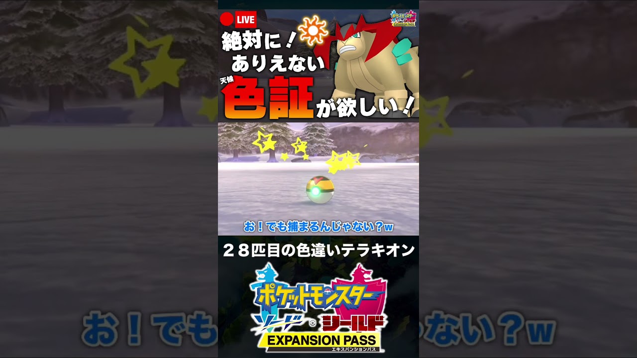 28匹目の色違いテラキオンと邂逅した男【ポケモン剣盾】