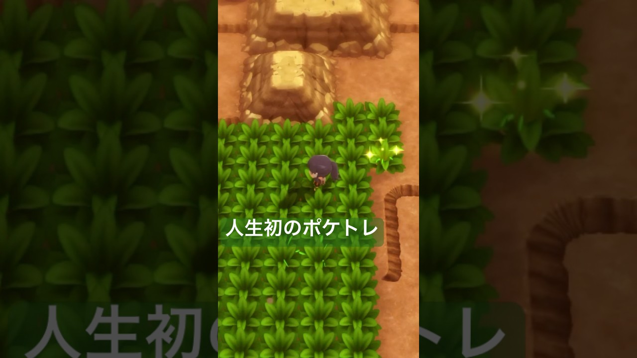 ポケトレ初色違いきちゃあああああああ
