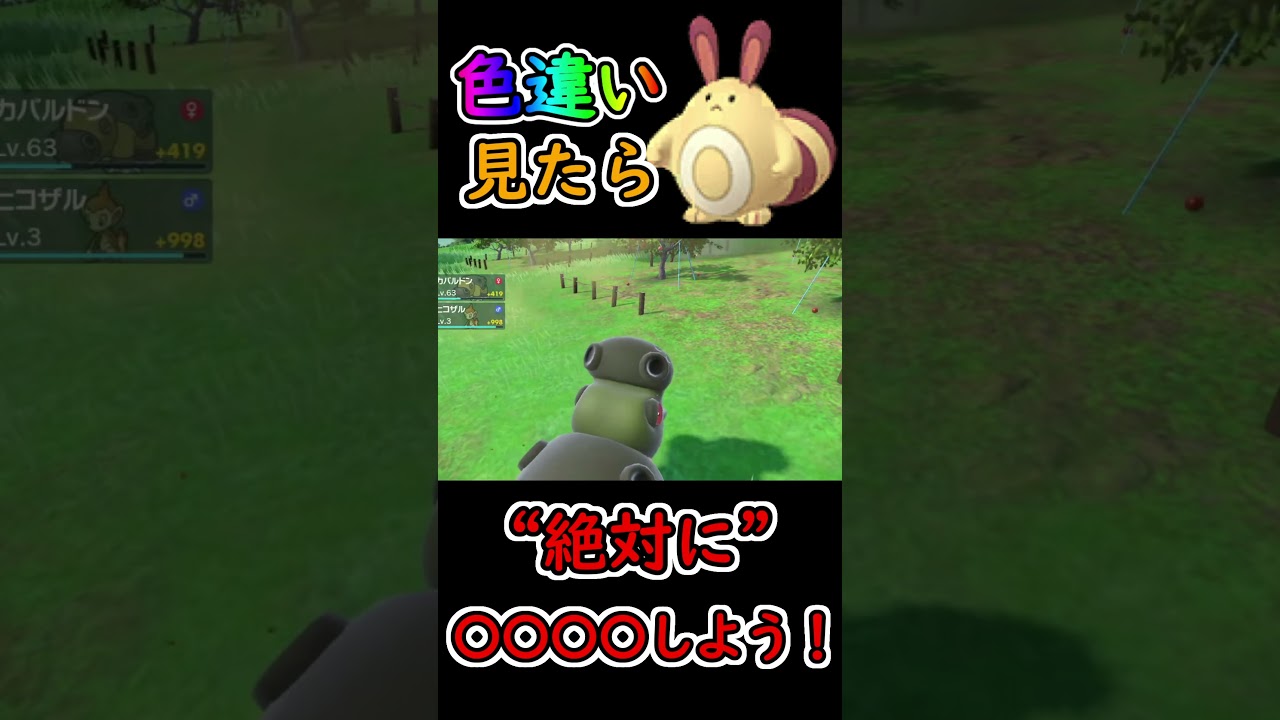 色違い見つけたら絶対するべきこと１選【ポケモンSV】#キタカミの里 #オタチ　#色違い
