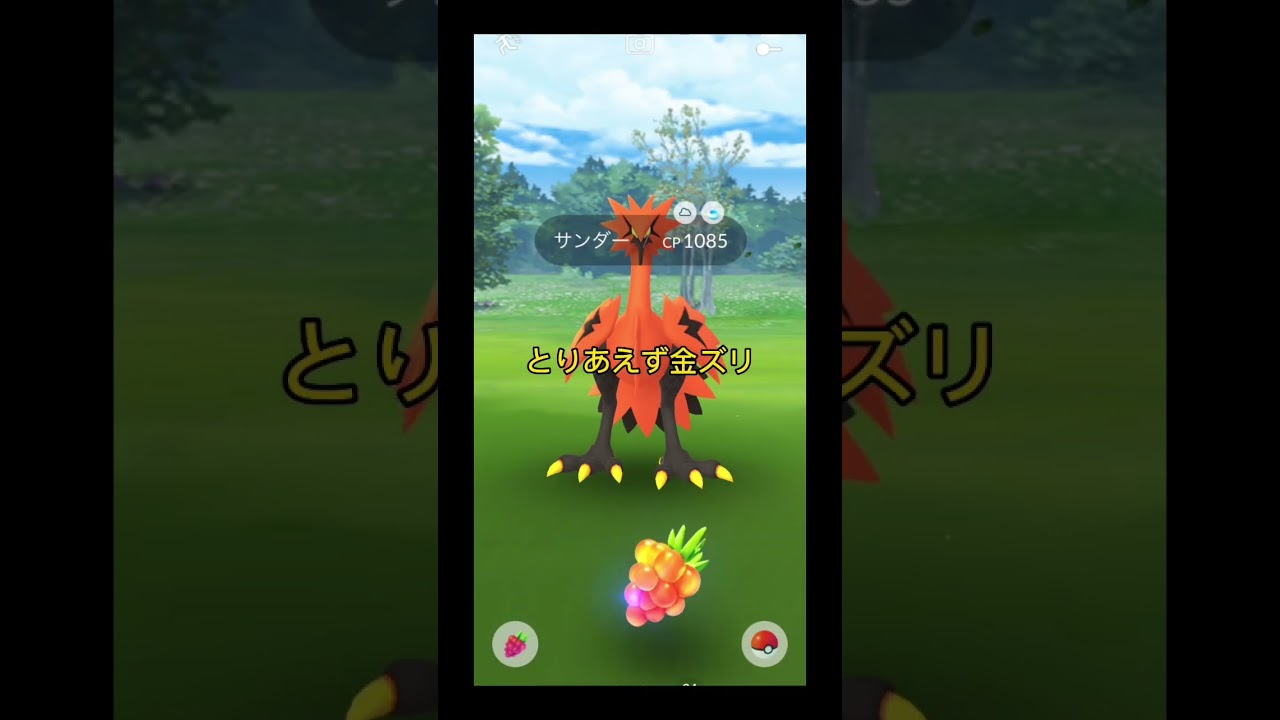 ポケモンGOおさんぽおこうでついにガラルサンダーが！！