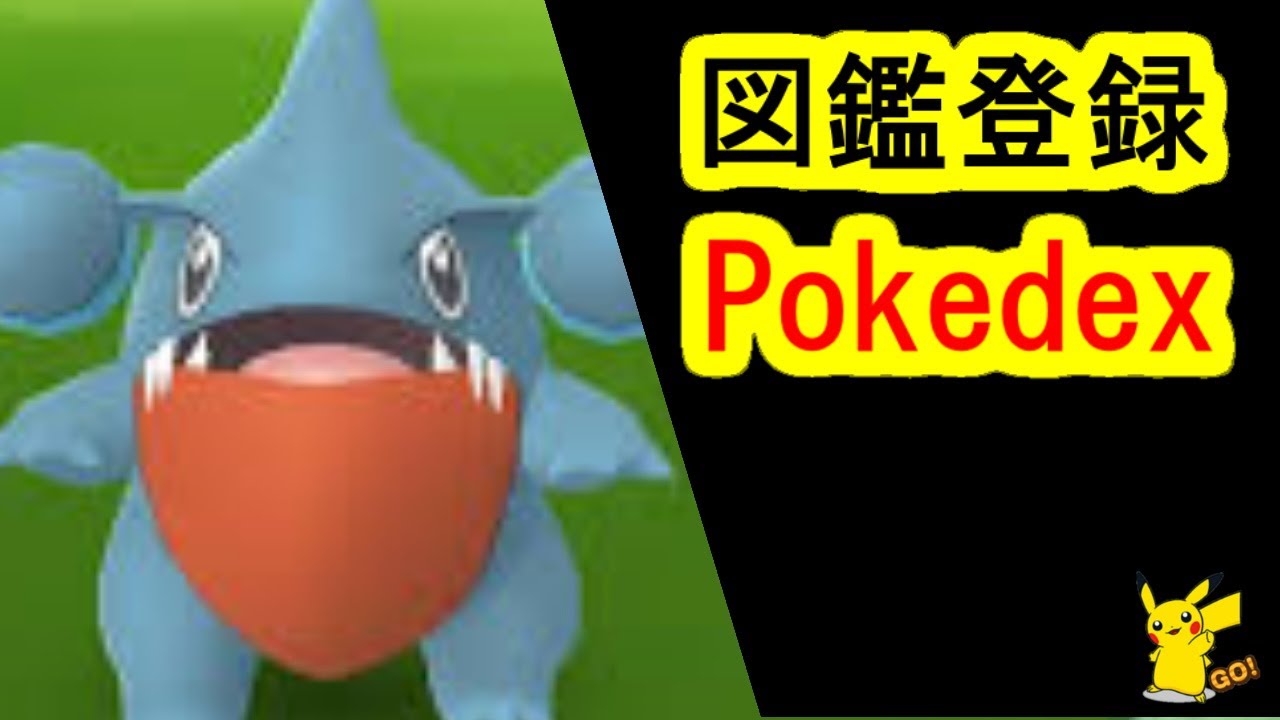 フカマル捕獲で図鑑登録