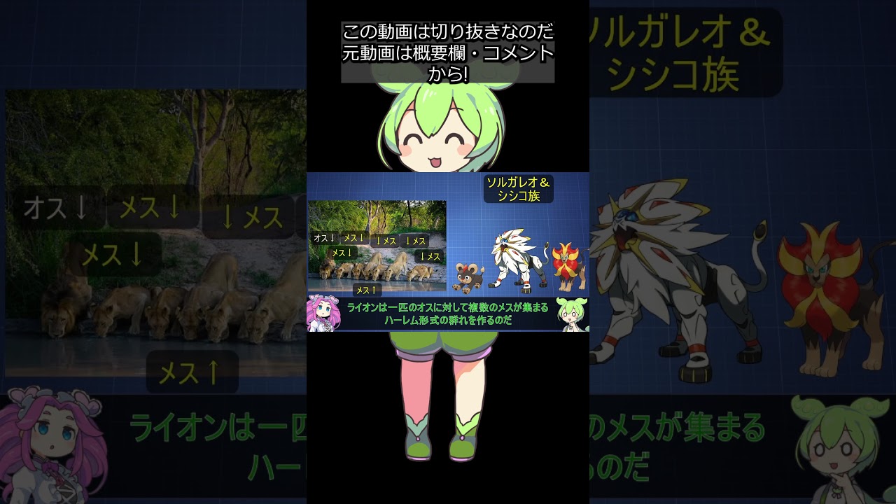 【全猫ポケモン解説⑩】シシコ＆カエンジシ＆ソルガレオ #shorts #ずんだもん解説 #切り抜き