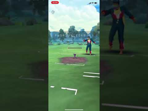 【リトルジャングルカップ】チョロネコ、スコルピ、ハガネール　20250203 ポケモンgo音なし