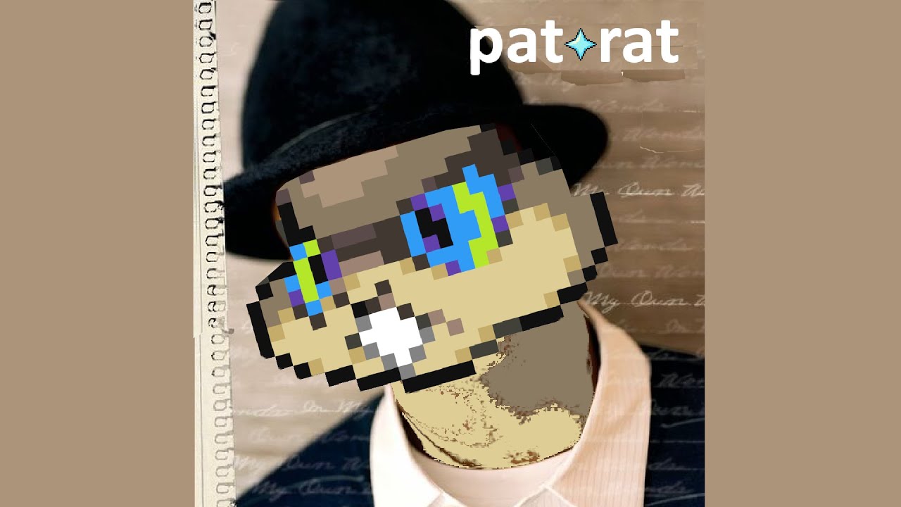 In Patrat's Words (shiny patrat on the first route 1 phase)