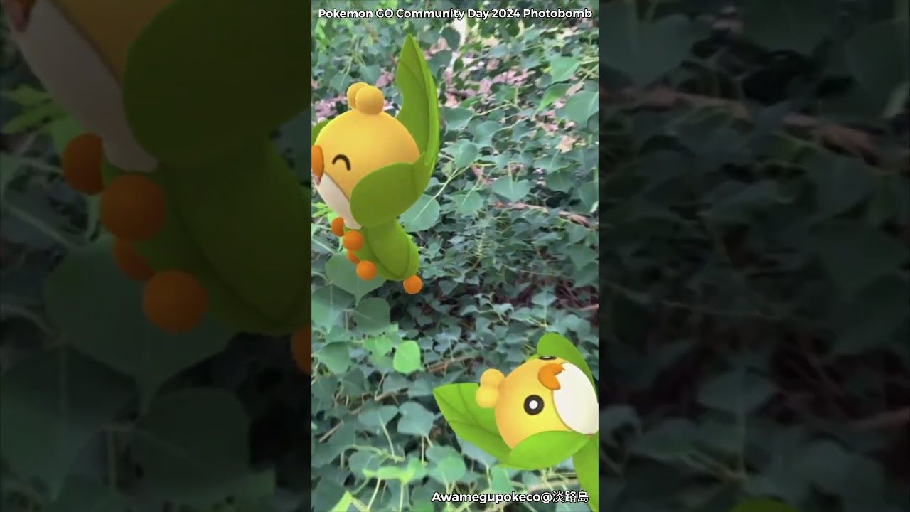 クルミル｜Sewaddle【ポケモンGO】PoKeMoN GO AR｜AR動画｜NianticAR｜GOsnapshot｜gophotobomb