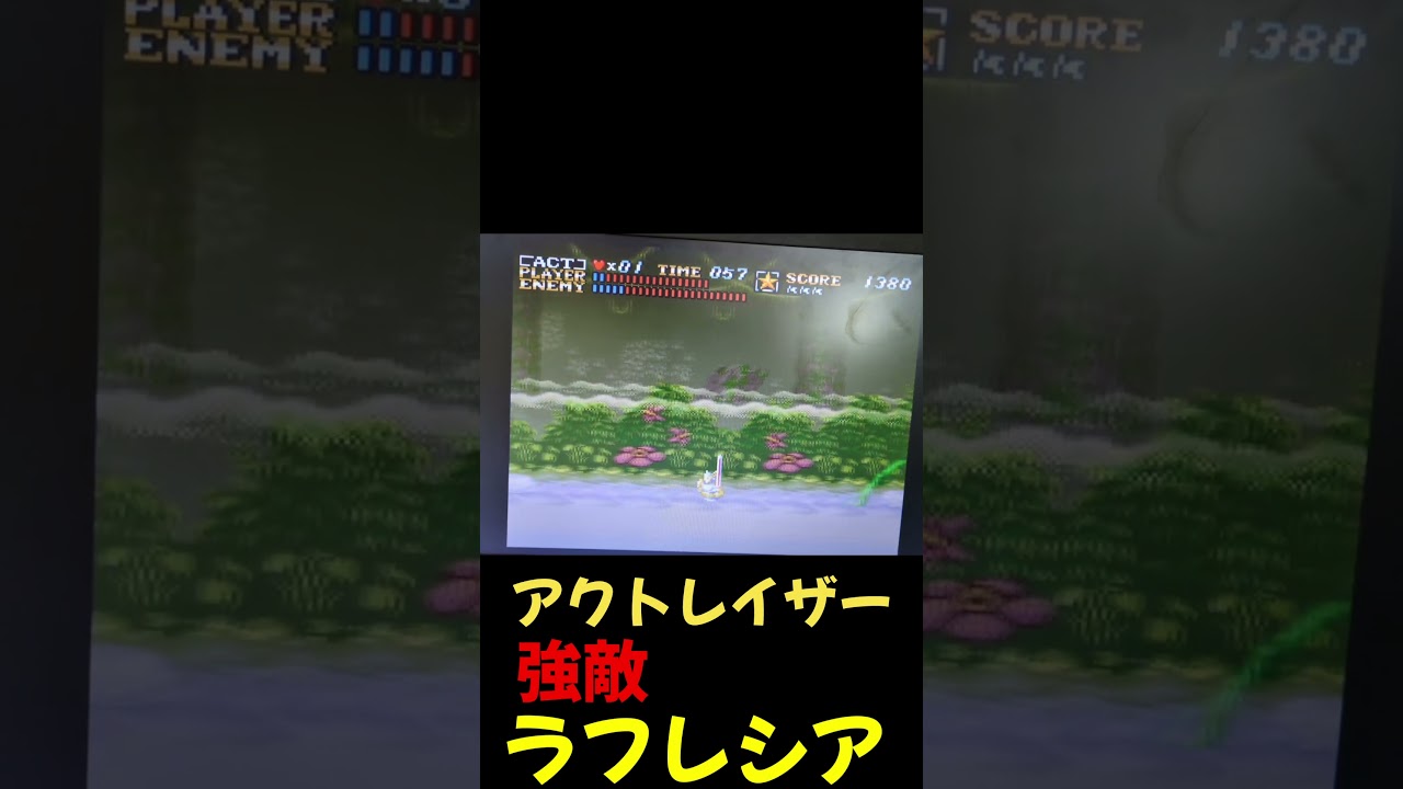 強敵ラフレシア！　アクトレイザー