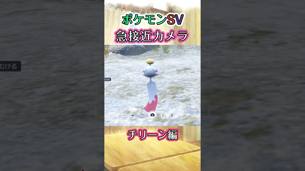 【ポケモンSV】チリーンがﾁﾗﾁﾗこちらを見てくるだけの動画 #ポケモン #ポケモンsv #チリーン #shorts