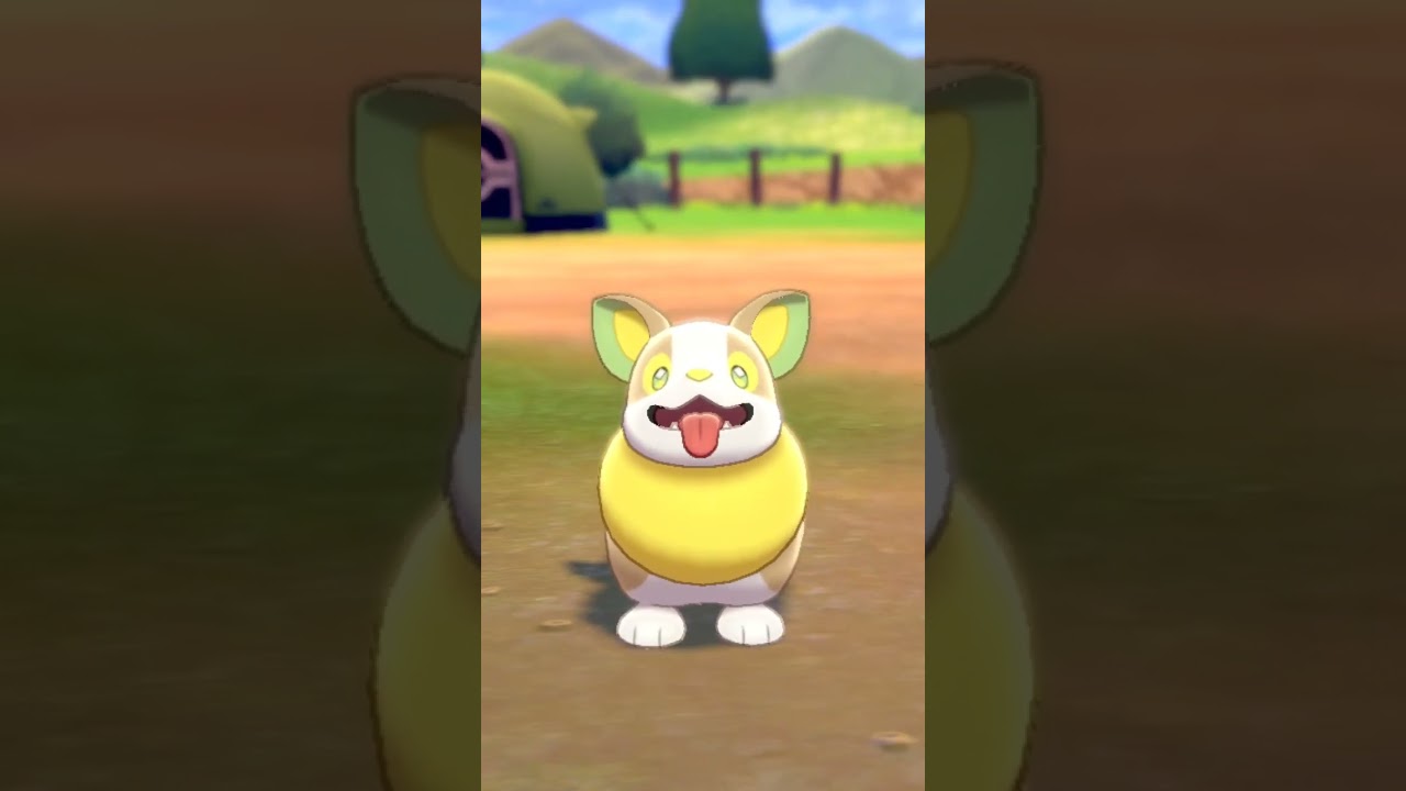 ワンパチ Yamper【ポケモン剣盾】