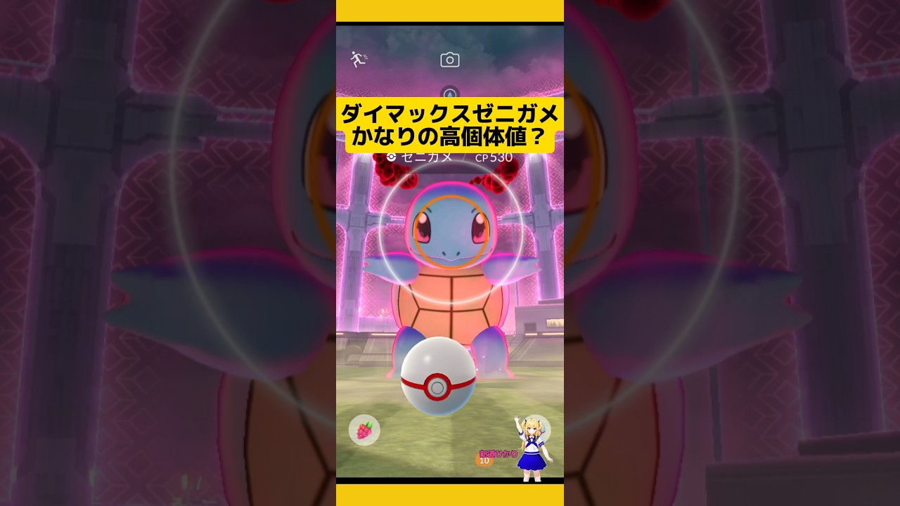 ダイマックスゼニガメの高個体値狙って挑戦した結果！#ポケモンgo #ダイマックス#マックスバトル #ゼニガメ #pokemongo #新道ひかり
