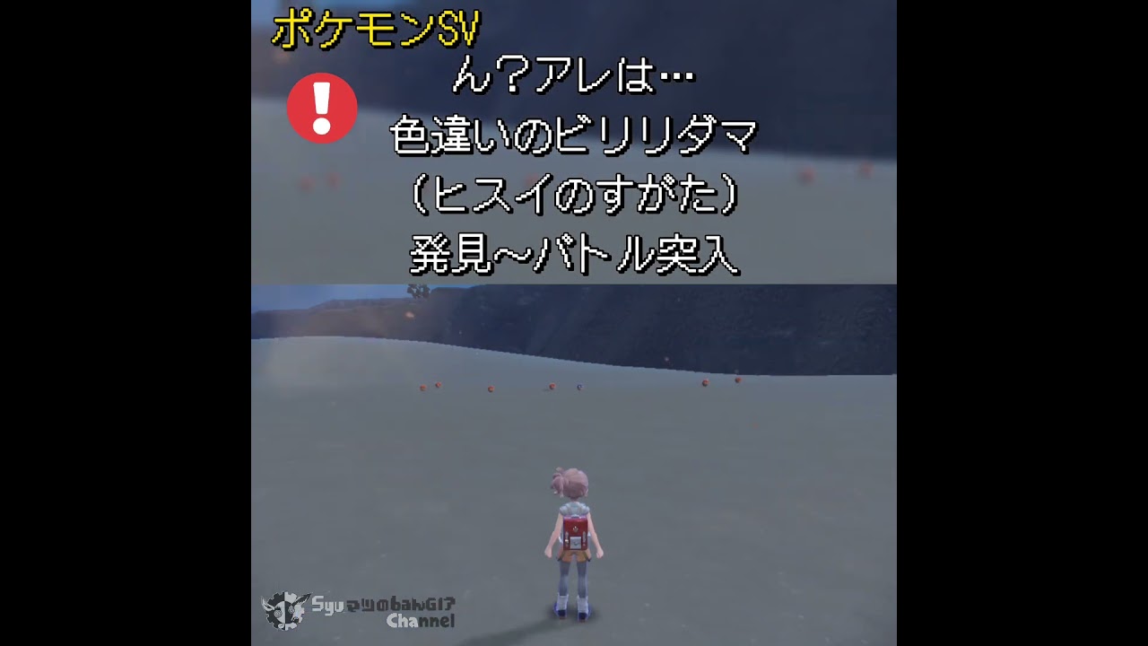 ポケモンSV  ん？アレは…色違いのビリリダマ（ヒスイのすがた）   発見～バトル突入【判別用】 #ポケモンsv #pokemonshinyhunting #ポケモンsv色違い