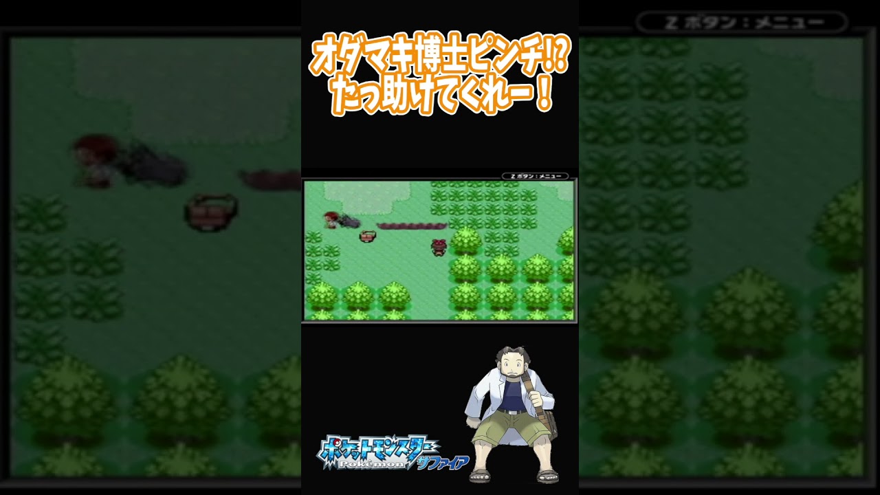 【ポケモンRS】衝撃の出会い！ポチエナに追いかけ回されるオダマキ博士！【Pokémon ルビー＆サファイア】