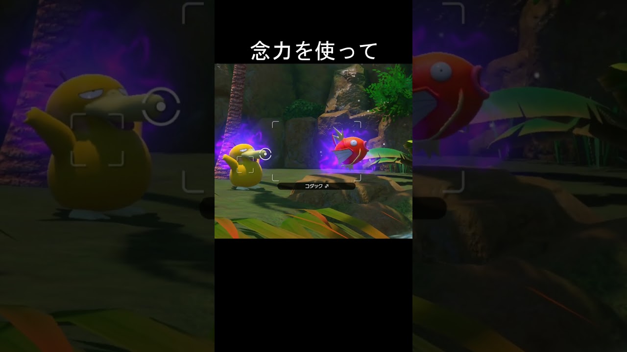 コダックの念力　#ポケモン #ポケモンスナップ #コダック #コイキング