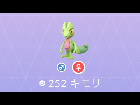 Pokémon GO 252 キモリ