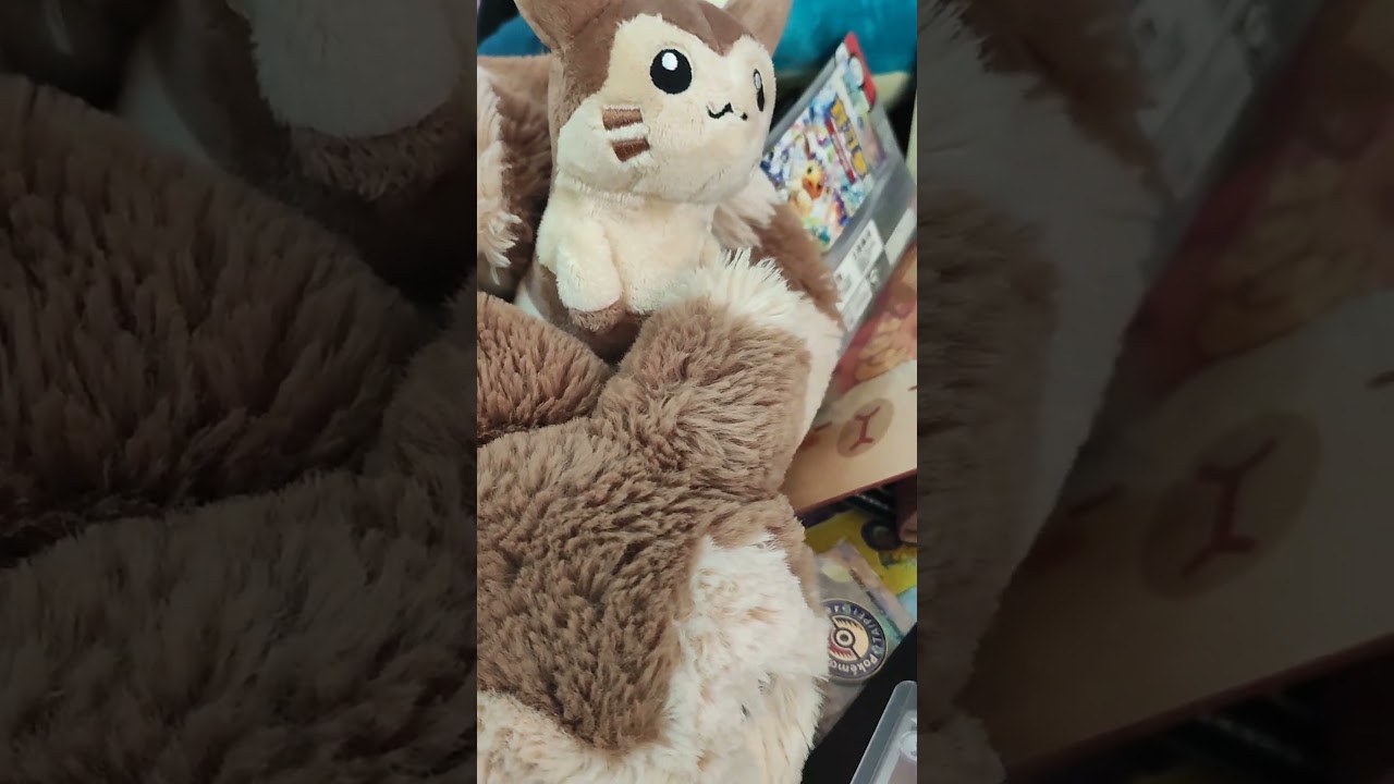 Pokémon card game #ポケモン #pokemoncards #オオタチ