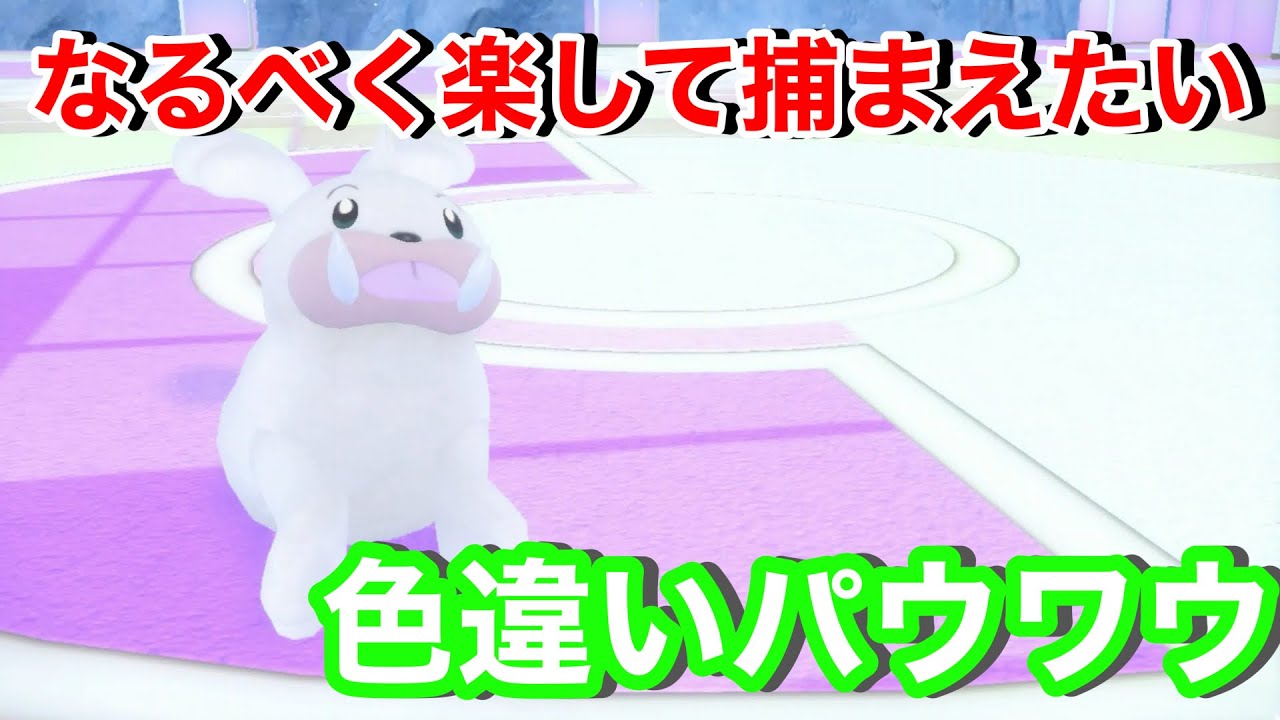 これ本当に色違い⁉︎超わかりにくいパウワウの色違いをGETしていく！【ポケモンSV】