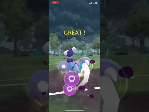 【リトルジャングルカップ】チョロネコ、スコルピ、ハガネール　20250202ポケモンgo音なし