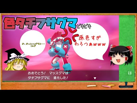 【色違い】タチフサグマがやっと出た！