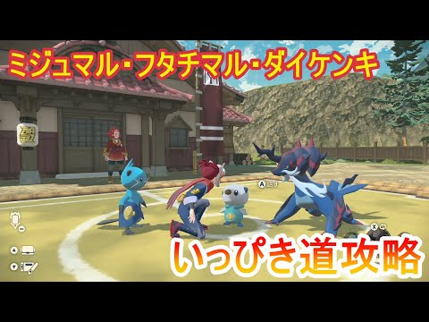 【レジェンズアルセウス】ミジュマル・フタチマル・ダイケンキのいっぴき道攻略！