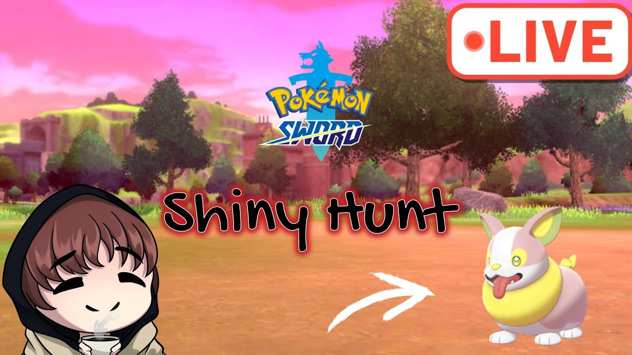 Hunting for shiny Yamper for our shiny badge quest