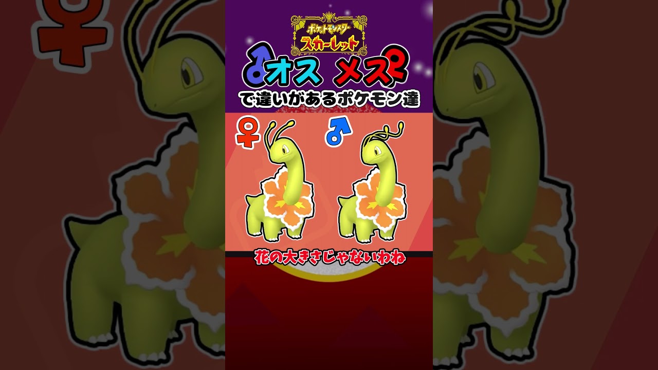 【ポケモンSV:色違いポケモン】オスとメスで姿が違うポケモン　メガニウム  #shinypokemon  #色違いポケモン #ポケモンsv #ゼロの秘宝 #御三家 #色違い制覇