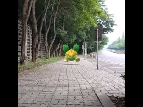 수풀부기 ( Grotle ) ハヤシガメ ( 樹林龜 )