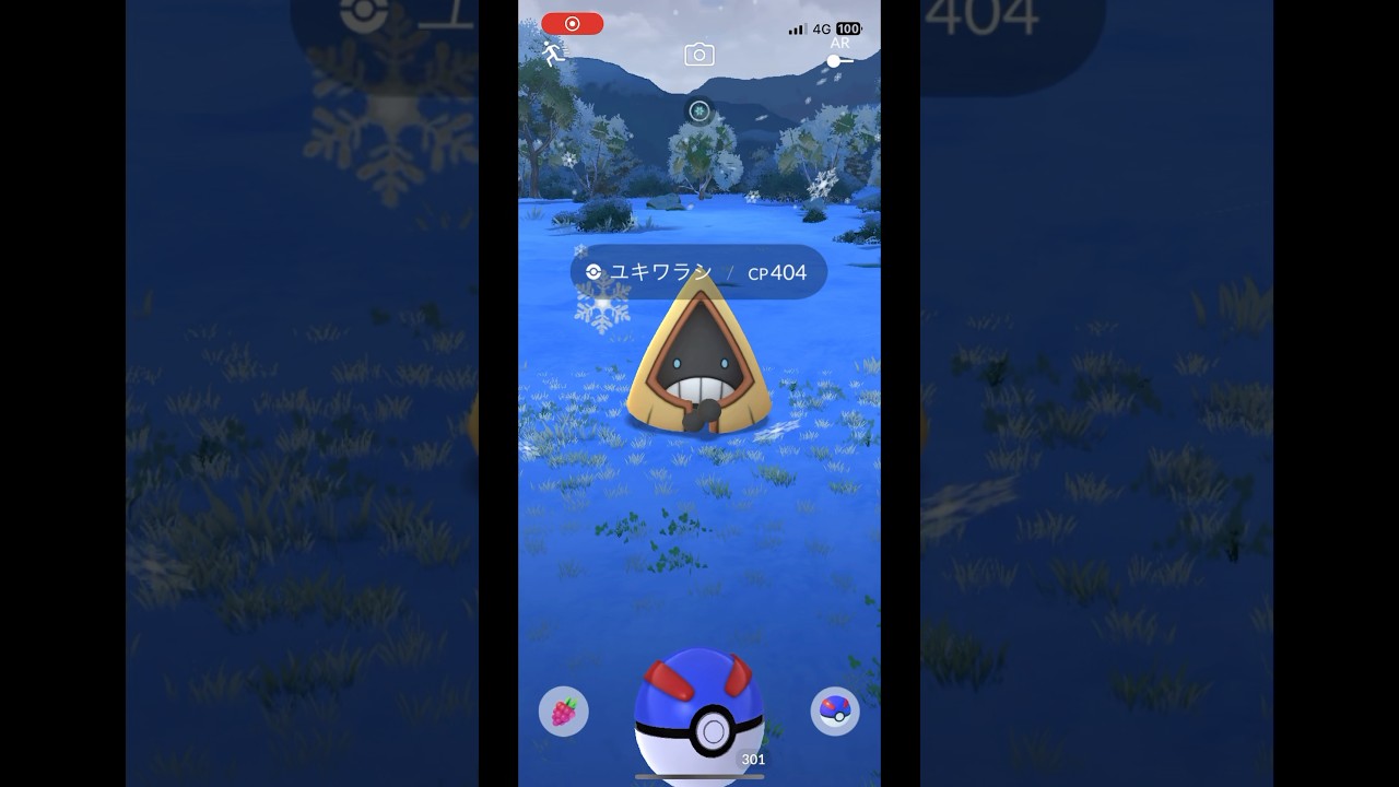 ポケモンgo 雪景色でユキワラシゲットチャレンジ　#pokemongo