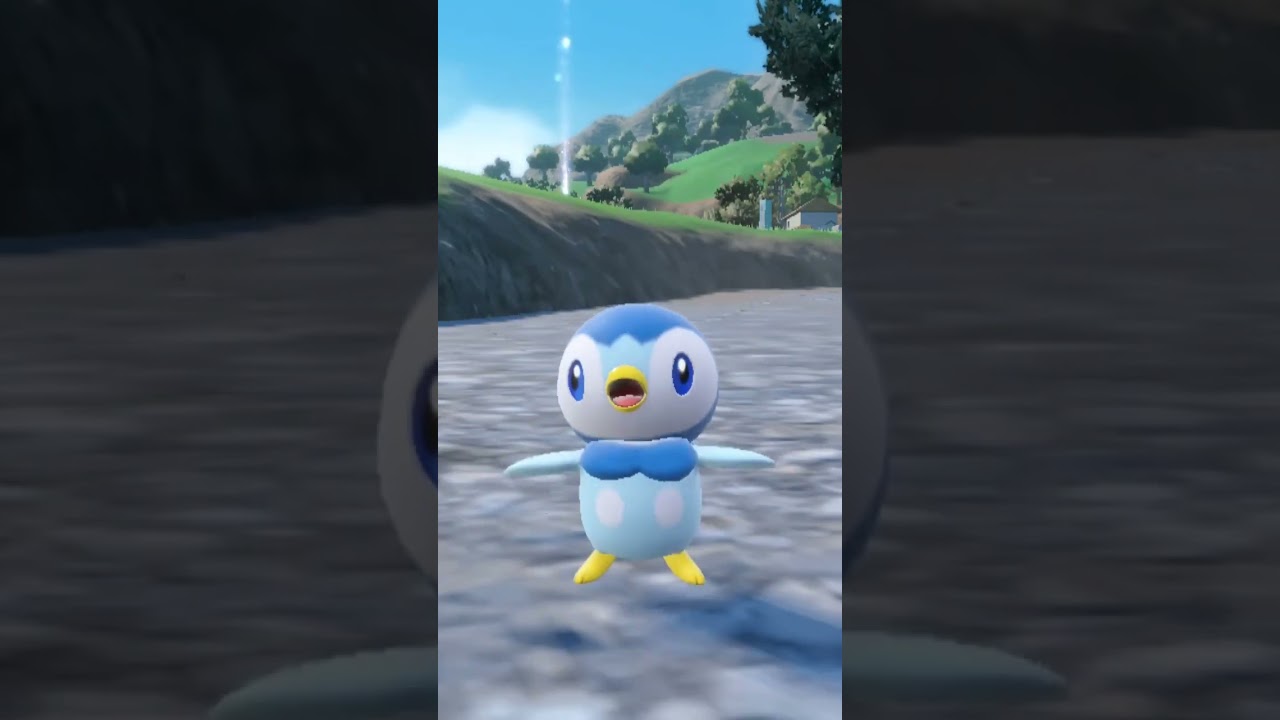 ポッチャマ Piplup【ポケモンsv】