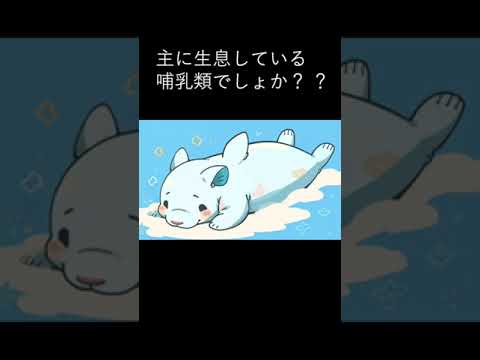 #ジュゴン #動物 #秘 #豆知識 #問題 #クイズ #かわいい