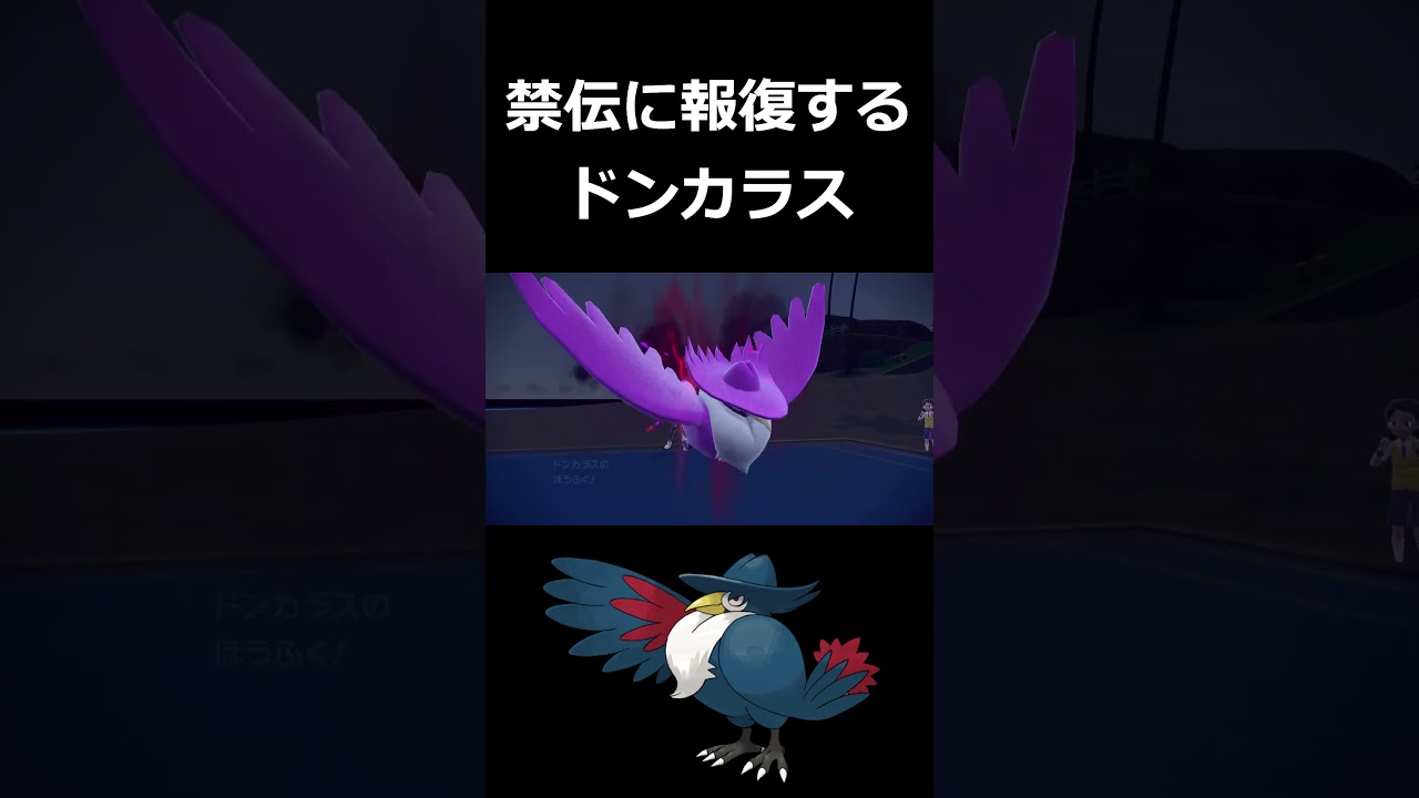 『報復ドンカラス』で禁伝をぶっ飛ばせ【ポケモンSV】