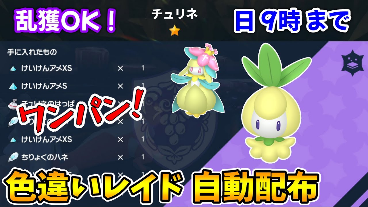 乱獲OK！チュリネ色違いレイド自動配布会！【ポケモンSV】