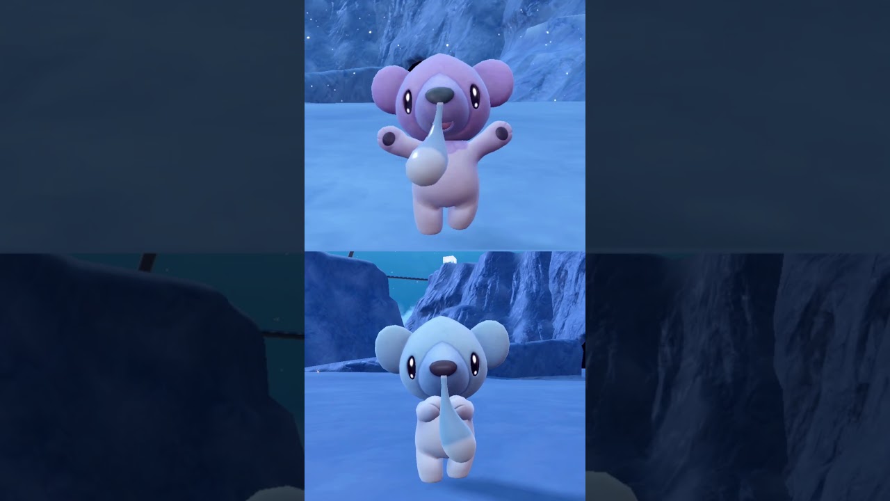 #クマシュン  #ポケモン  #cubchoo  #pokemonscarletandviolet