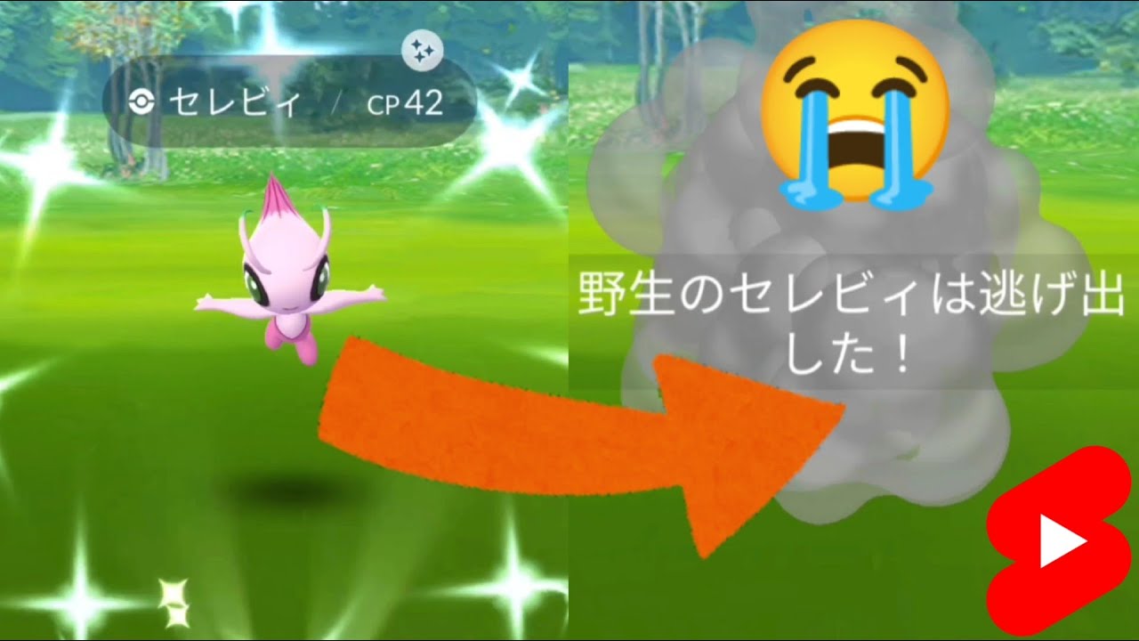 【トリックだよね…!?】野生の色違いセレビィ(ゾロア)が逃走しました😇ポケモンGO/ハロウィン/イリュージョン/shorts
