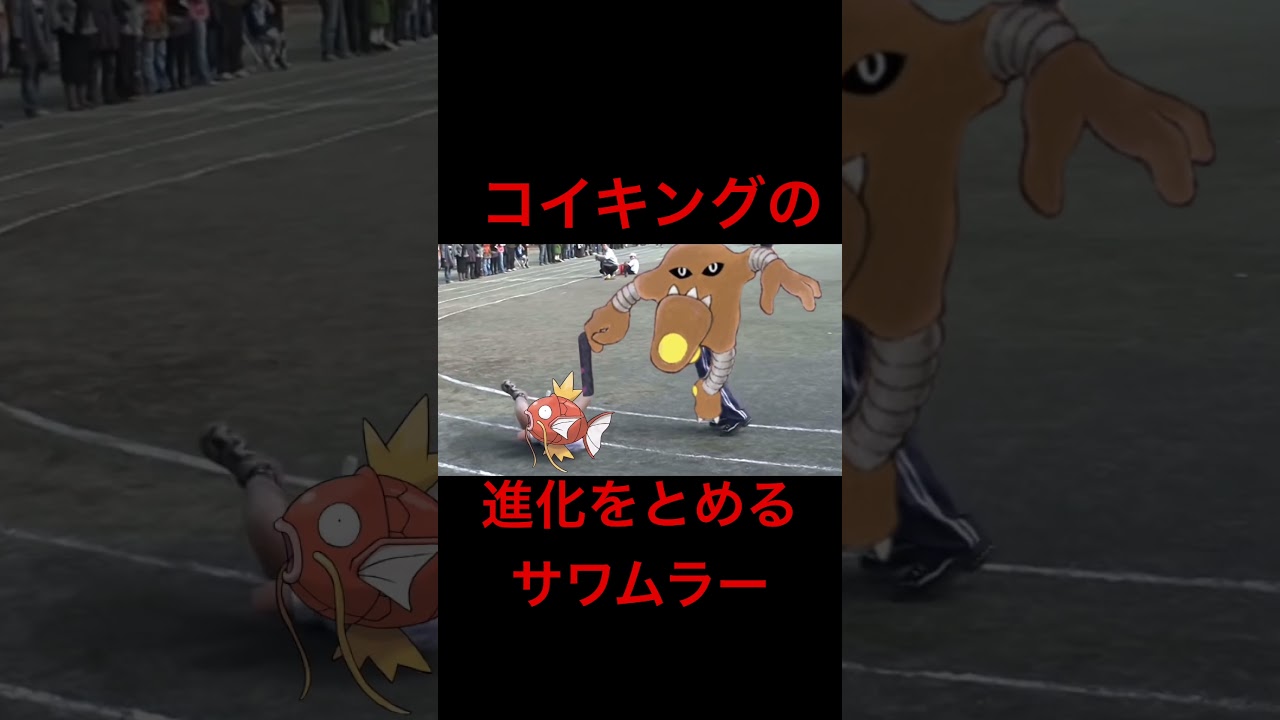 降参するんじゃないぞ、　#ポケポケ#ポケモン #サワムラー#コイキング #ギャラドス