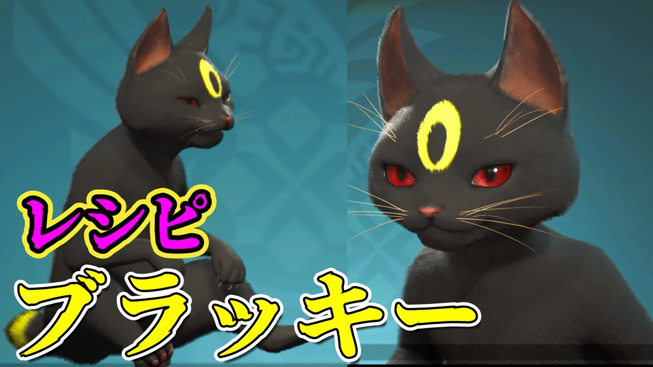 【キャラクリ】ちょっとブラッキーなオトモアイルー【モンハンワイルズ】