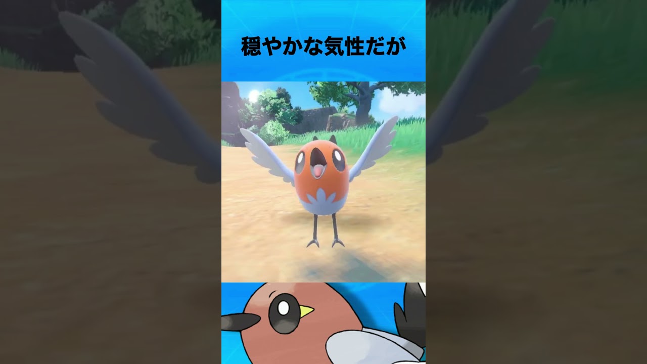 ヤヤコマについて #ポケモン #ヤヤコマ