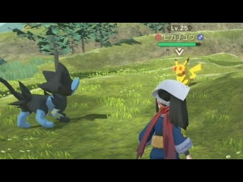 【＃12】バイオレットで鍛えた腕が光るギンガ団 ムツボシ！（シュウゾウさんにお金が吸われますｗ）【Pokémon LEGENDS アルセウス】【Switch】【４K】